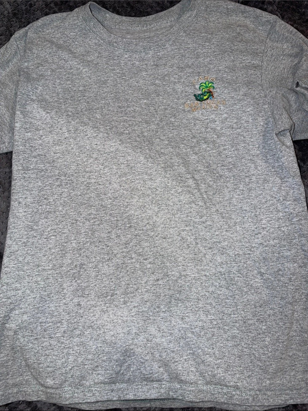 Cabos San Lucas Mexico Embroidered Gray Tee